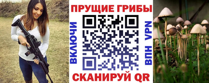 Псилоцибиновые грибы MAGIC MUSHROOMS  Видное 