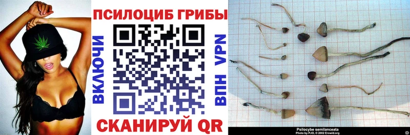 Псилоцибиновые грибы прущие грибы Видное